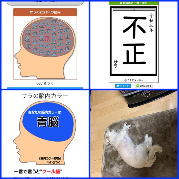 D676b94e 1051 4747 85f3 de00709e780f 1609575583615