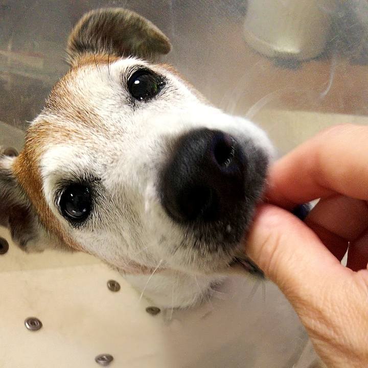 D676cf18 2458 422b bff2 fd428b8ba995 1596280149805