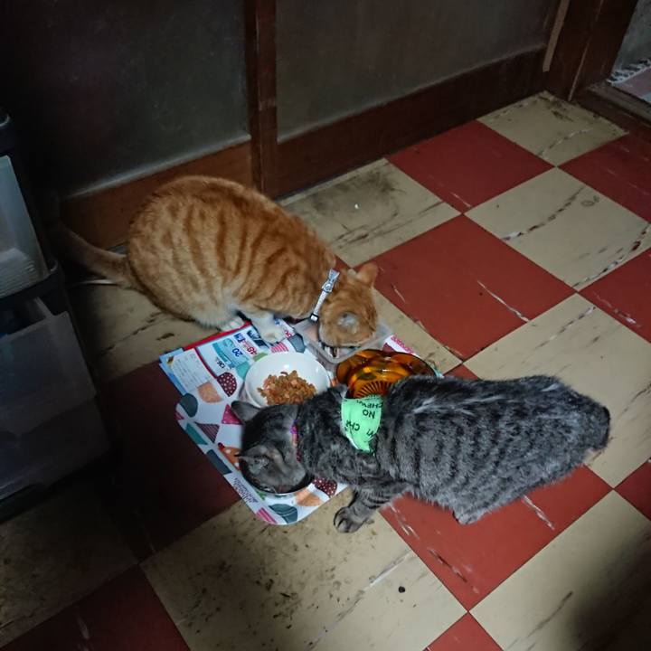 D676edca d2b9 47c0 a808 b6951e729283 1587067310417