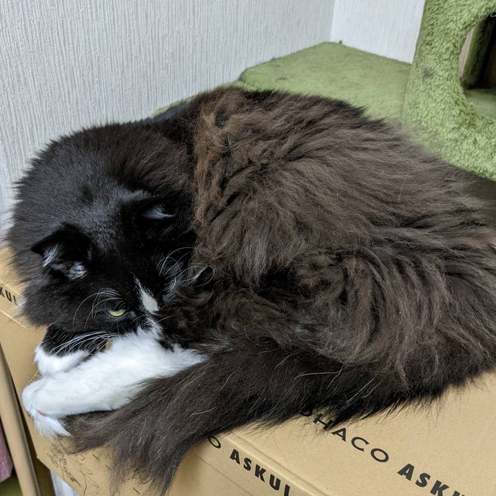 D6770839 11fe 4cd4 b227 72f7299aaba9 1669550607253