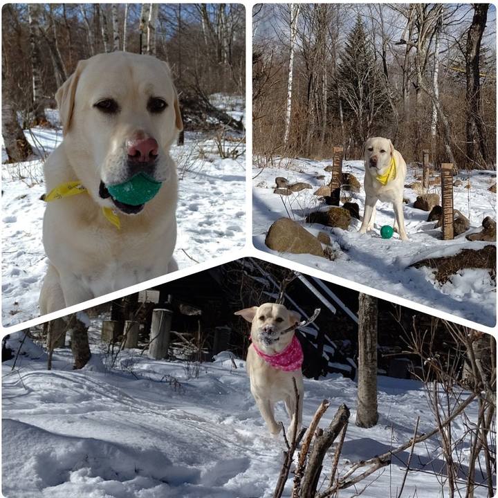 D677416c c661 43e5 9387 2b1fa6f4d14c 1609928273086