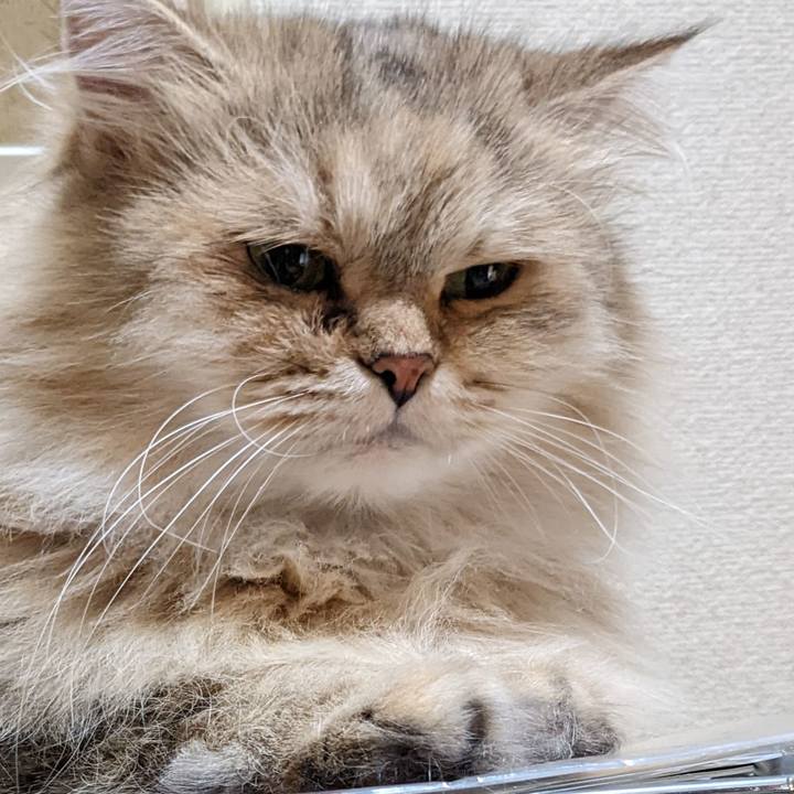 D67762cd c56d 4b5c a4ef 32d299e4e6dd 1662517488075