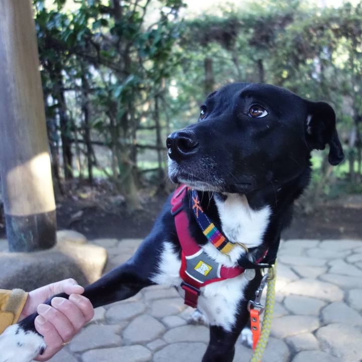 D6776ade e1fb 4dd8 96f7 c3200cca2647 1584491385593