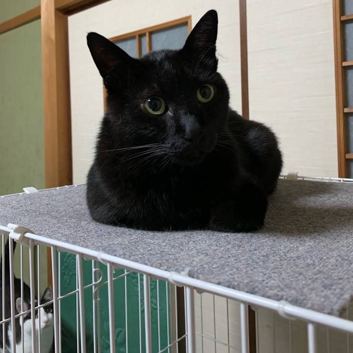 D677801a a652 41e3 b0af 0d1e94f74997 1562287078337