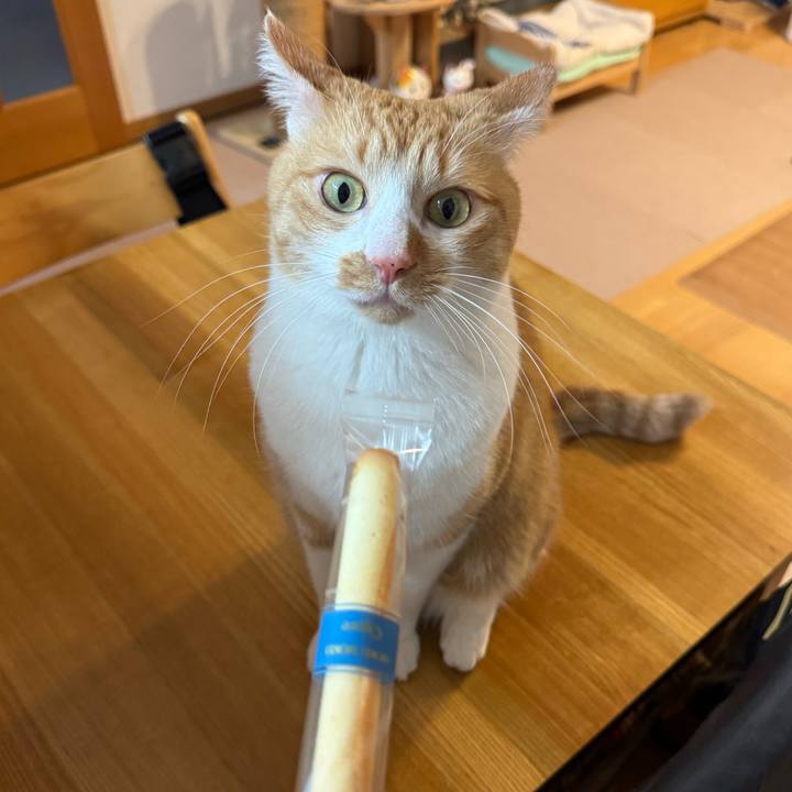 D6779ddd e73a 4d78 9e89 48ed669826cd 1767857803366