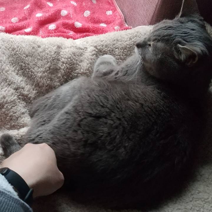 D677eb0f 6b03 4d0a bafc f227a0c6f868 1680681290268