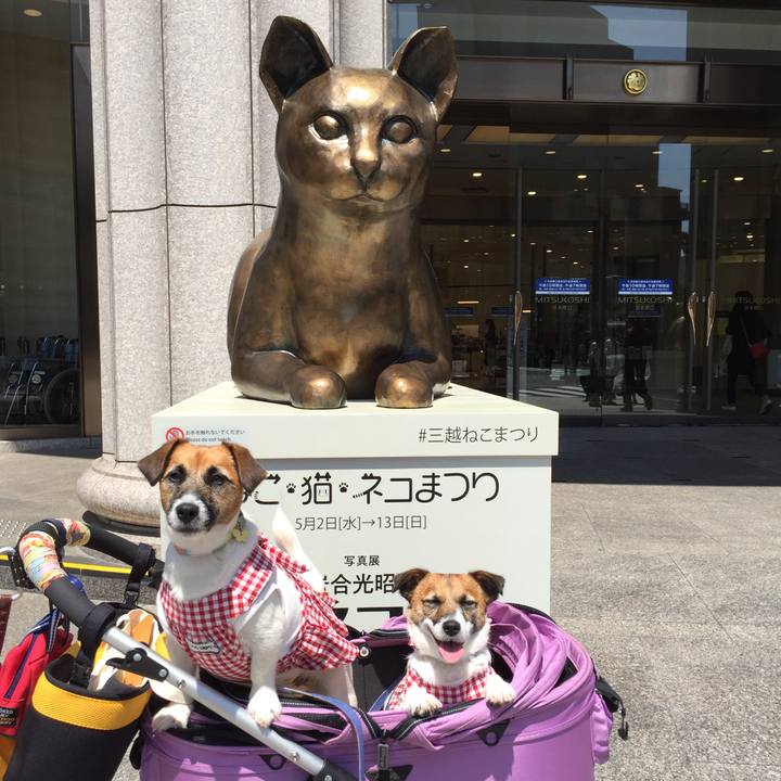 D677fe0e 6259 49b7 95ac bf86850637c8 1525501662225