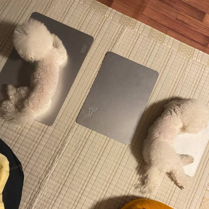 D67833b3 1052 4c16 97f1 274947f6ee71 1659433780556