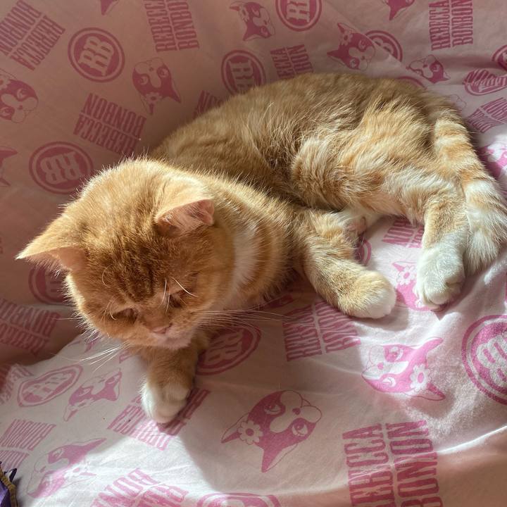 D678465f 6455 4946 962f 15874516f64e 1644374513270