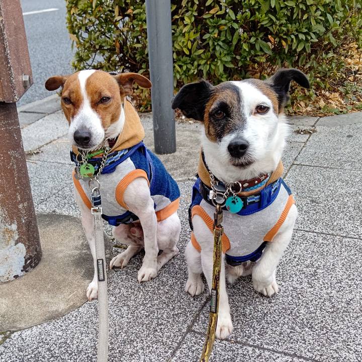 D6786195 1681 4399 a673 c0c629290d7d 1643940399781