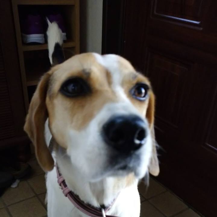 D67884d9 5cdb 4ddf 9652 866b0bc51655 1601612615542