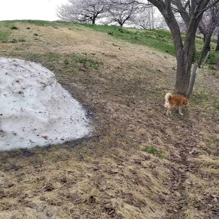 D678d6ec 488d 48ba bd90 eb00418ecb23 1745138258713