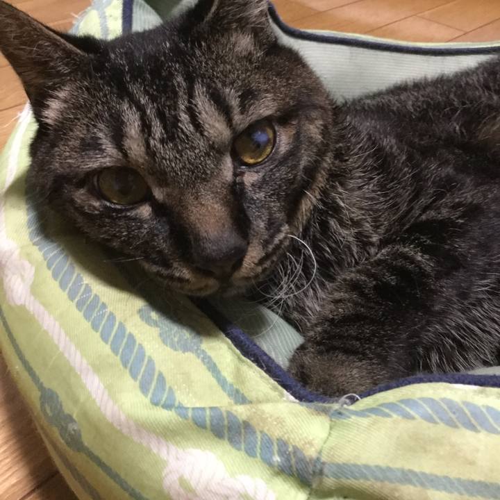 D6792604 006c 49cf 8b74 d16d9a306c53 1627034097491