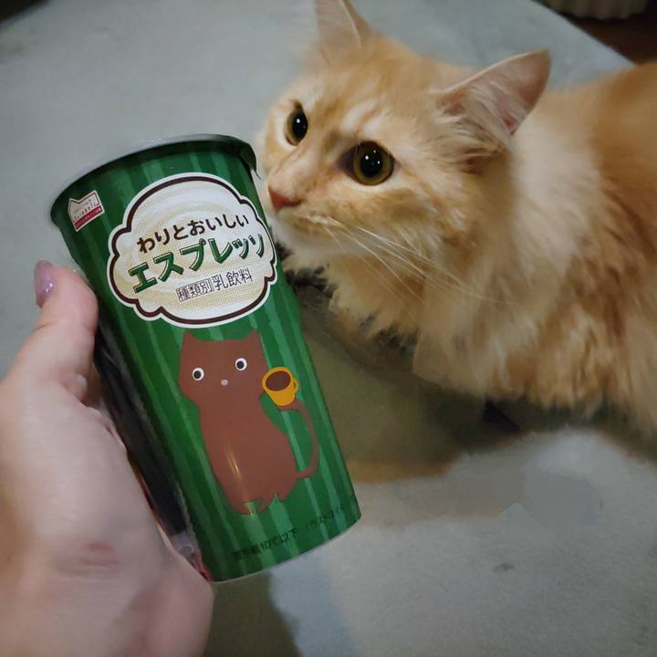 D6793fa5 a6d9 4917 8f41 ef3937a44b44 1722601698299