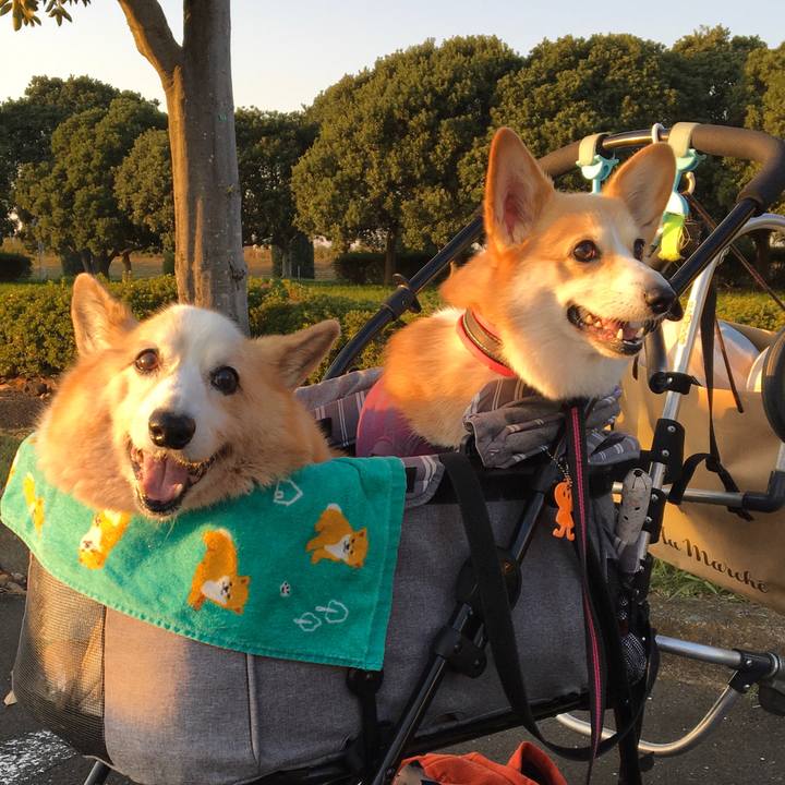 D6796c5f ef8c 4334 9cbb 7e3049837068 1650812259370