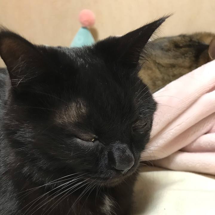 D679908d 9375 4bf7 945e 5d1fdfd82e91 1572776896363