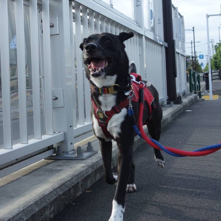 D6799372 8cba 445c 8528 6fa24230d752 1601338594871