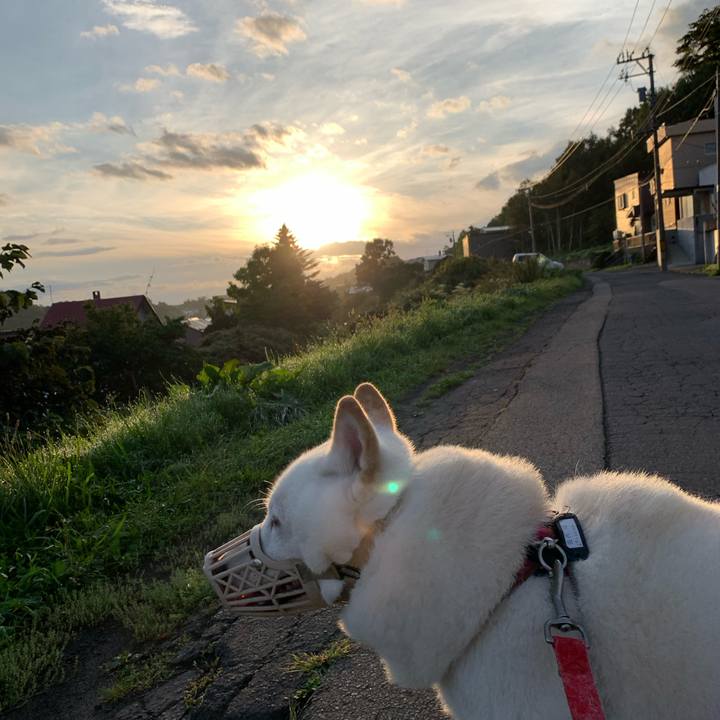 D679a69a 8cd4 421c b3cf 6177fbcea2d0 1600291171913