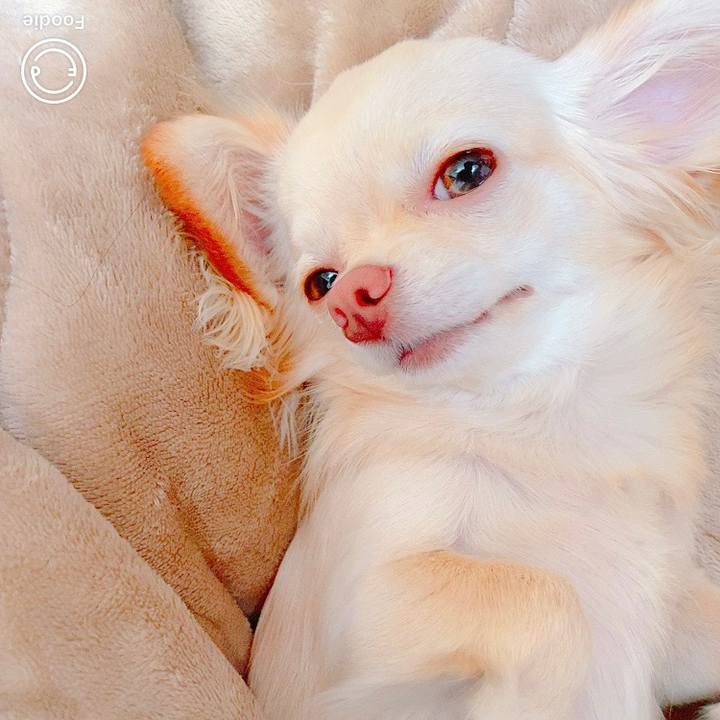 D679cb4a bacc 4d53 b16a 34a9ba84feda 1622430844268