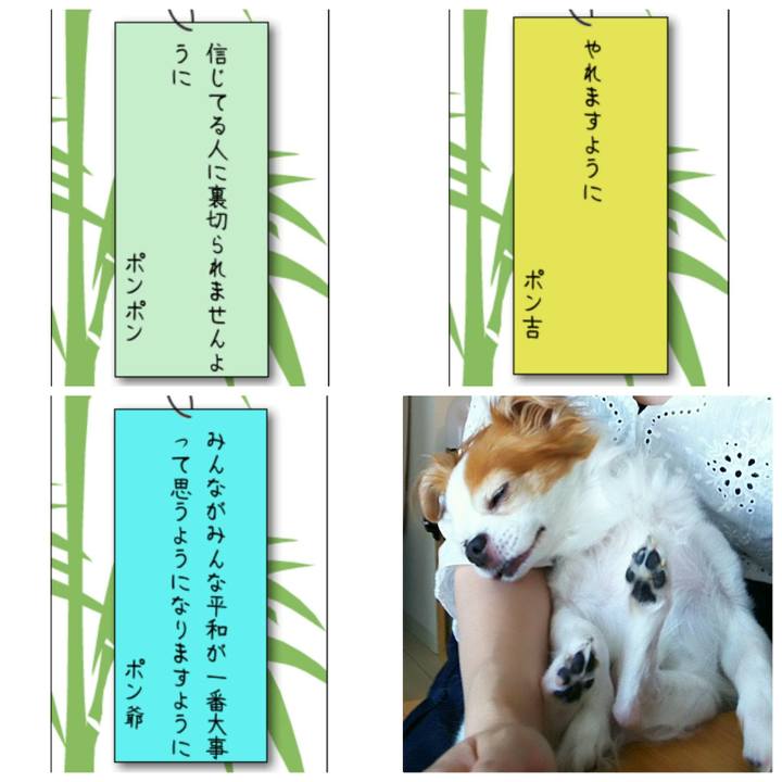 D679dc93 bb2f 43e9 9d4e a92cfbbd8498 1530943862611