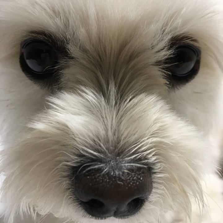 D67a2878 5da6 477f 8896 4587a1ce5950 1527336104437