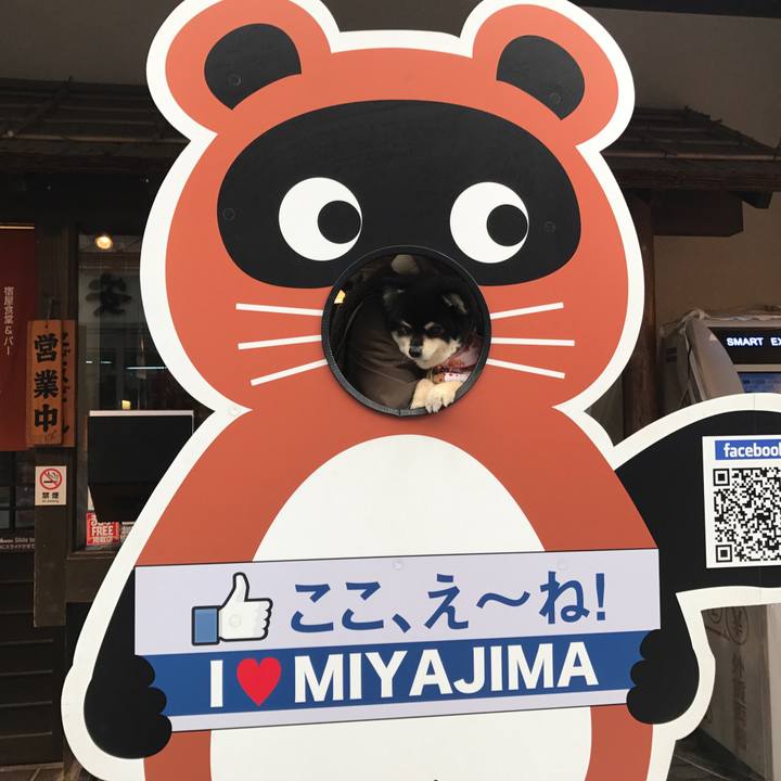 D67a47a9 3f2a 4166 b0c4 14bba38fc56d 1542540107621