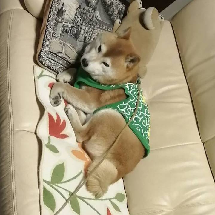 D67a5037 f745 460b 825a 63b45597db48 1588038779529