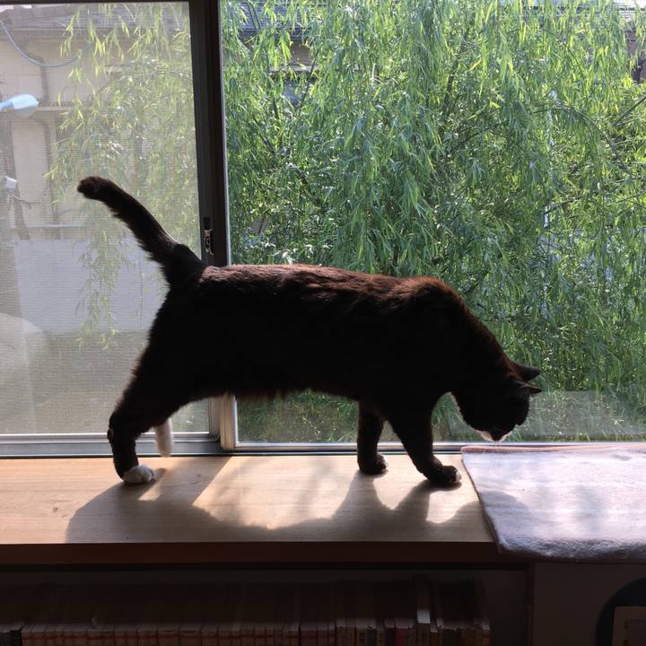 D67a59b8 3789 4a9c beb2 9eded5f0882c 1587126814813