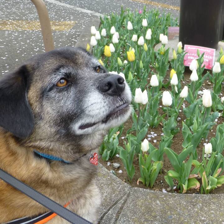 D67a68fe d8b7 4613 90a4 6d16d0bc17b8 1581418894016