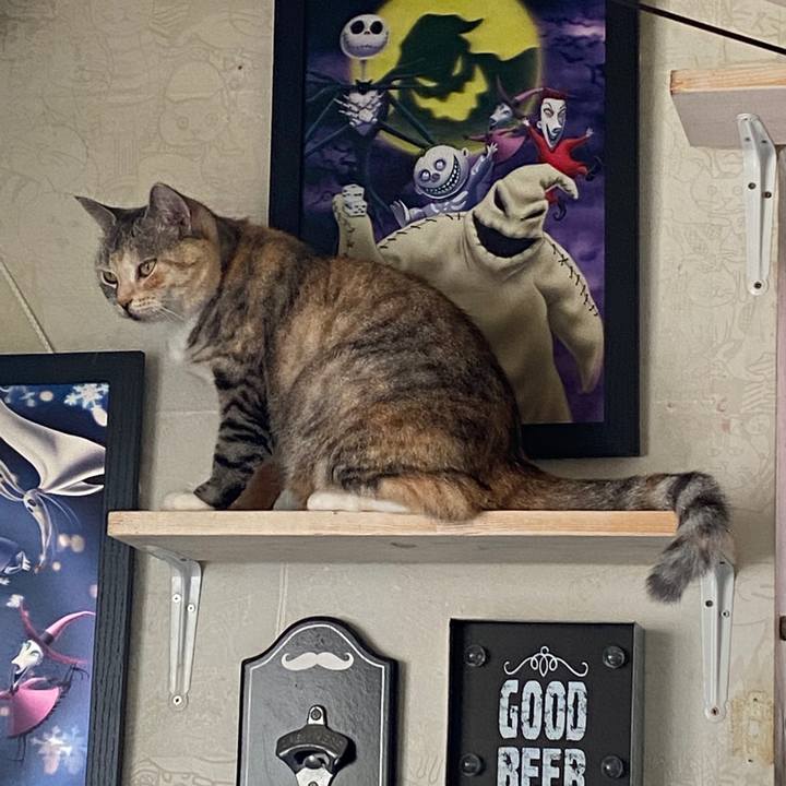 D67a69ca b6bb 42d1 b953 5d90834e3b76 1595745525746