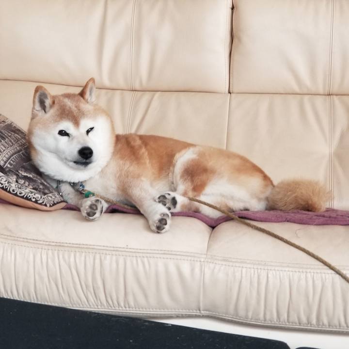 D67a6b7e 04c0 4a14 b17f 0cd66ee819f8 1711167726825