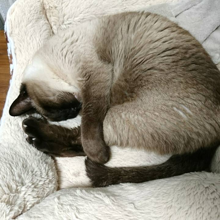 D67a7c77 9c89 4404 8f8c a09c45bafa2c 1550696766847