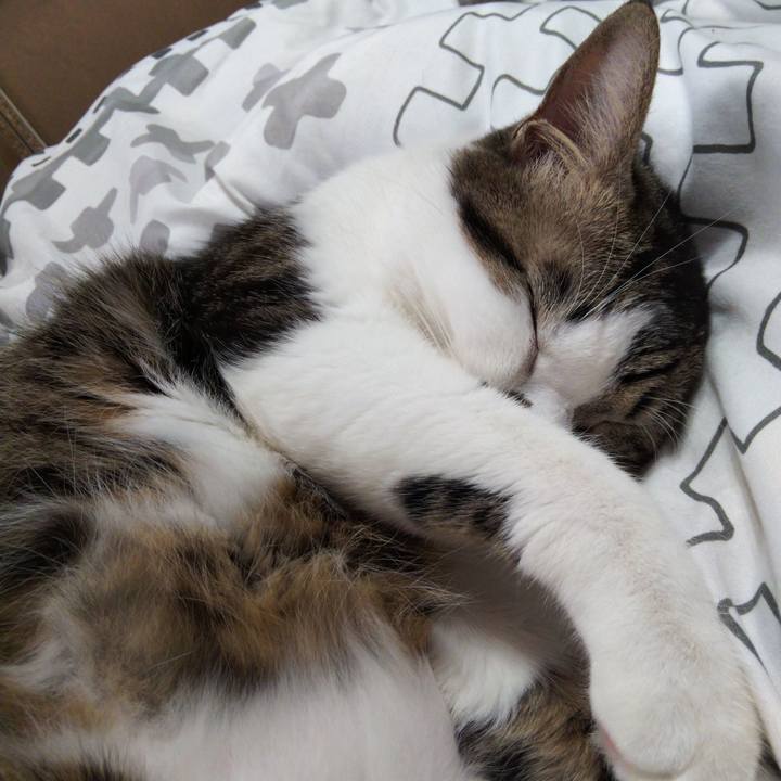 D67a8e99 b439 4ab8 b6eb 2f027fe0ab5d 1639799470817