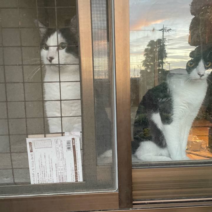 D67aa65d bcbd 4af3 8f21 13639455a2df 1691881230185