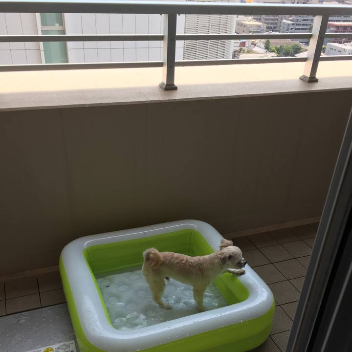 D67ab9ed 2ff1 43e1 a6a4 c6b838cb3b51 1564812566357