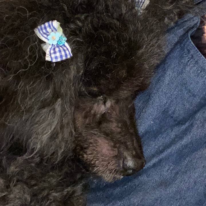 D67ad9f6 c242 49da a774 2eecc12a9e41 1595827189195