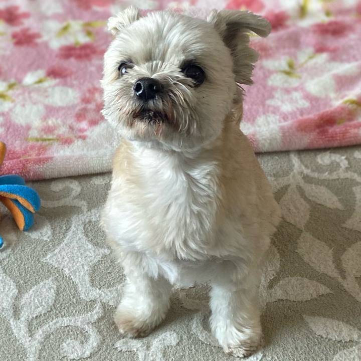 D67af554 2c2f 4437 8e01 7263858de541 1711596862715