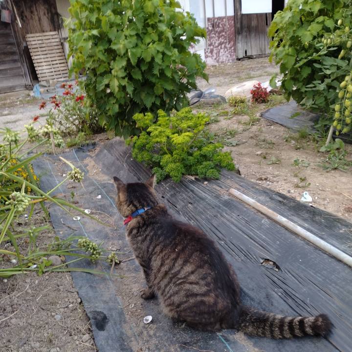 D67afee3 7dc1 4e32 92d7 36c4d08ba95d 1690281681246