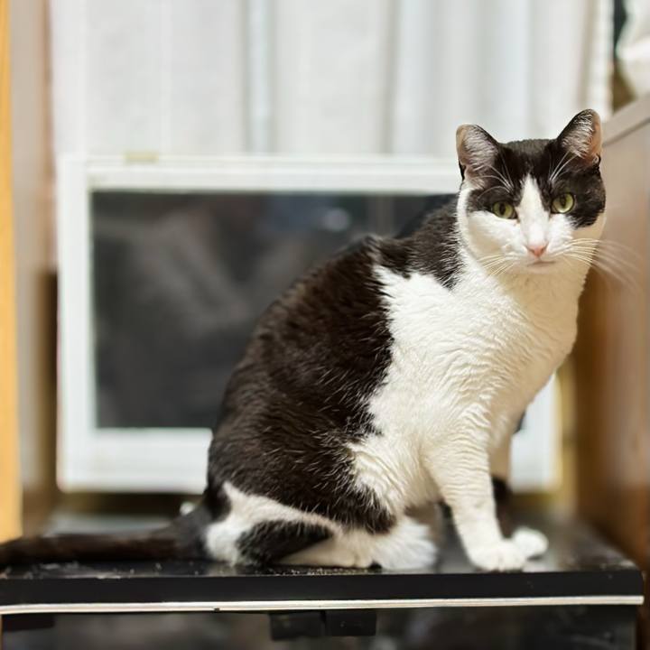 D67b128b 0e47 42f2 8ace a39db315343f 1684463268484