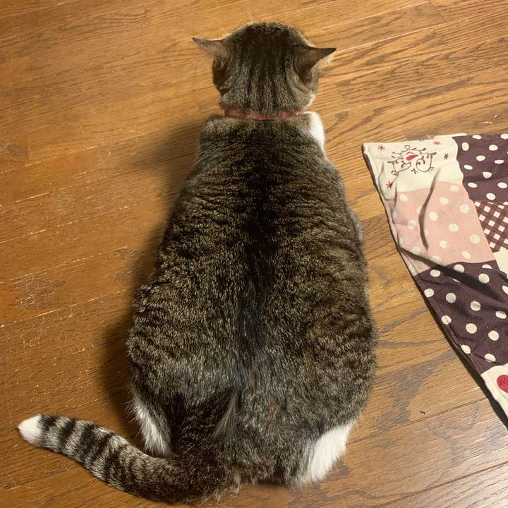 D67b1d0e 8214 4778 b5f5 a1c01cce4019 1679819333185