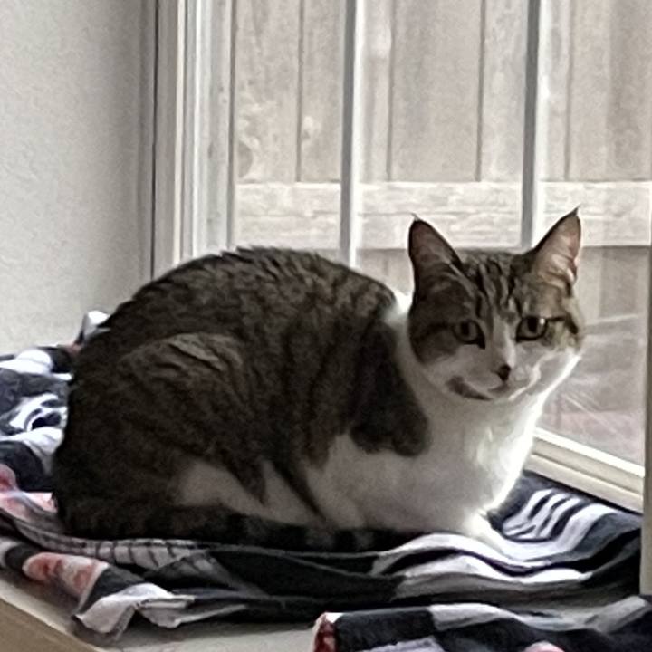 D67b28cb 872f 41b9 b8a7 26a9a3dd8549 1694738152225