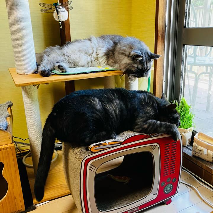 D67b2a22 e732 4ddc 8dc7 dee46c635f3d 1751155299790