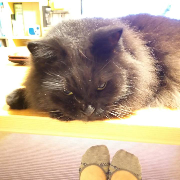 D67b5035 50a7 49ee b518 d0142e54b98f 1535539643585