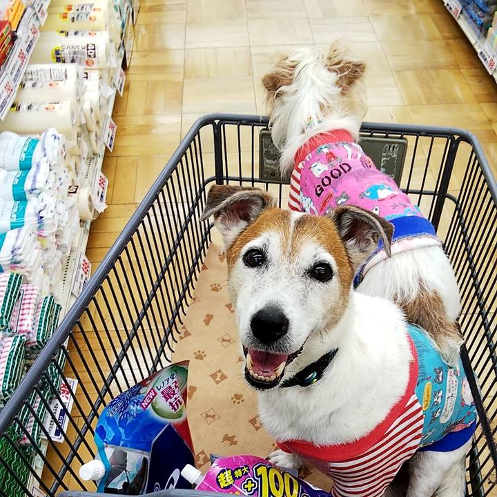 D67b901e c264 4d26 a4b7 0f3562437f48 1532215485404