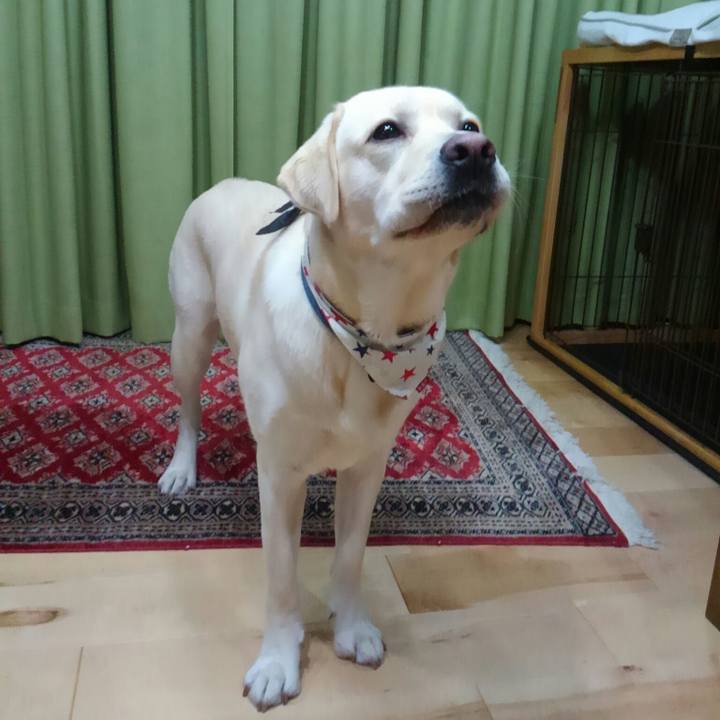 D67bc163 081e 421e b92c be41f0b8243a 1508673737063