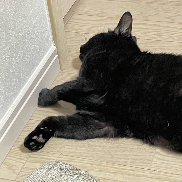 D67bded9 d68e 4593 a02f f8218833740a 1653832328897