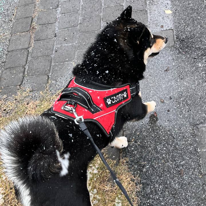 D67c7fac a6ff 4e3a a826 a0f31422afcb 1742343133044