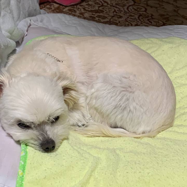 D67c92ac bd3d 46bf 8b22 ddf46122deef 1649593254408