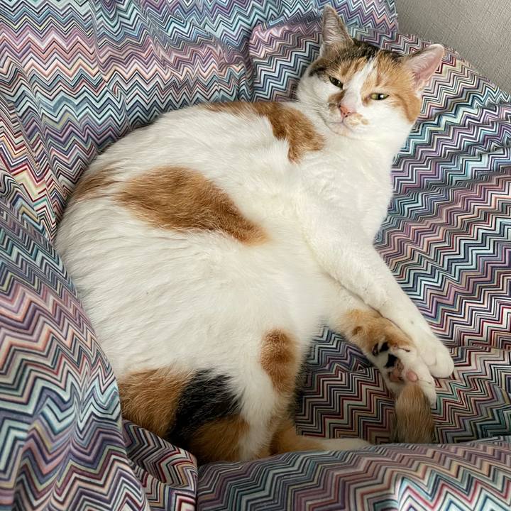 D67c9835 a72a 4c17 afa5 33d3890f8abc 1655163957336