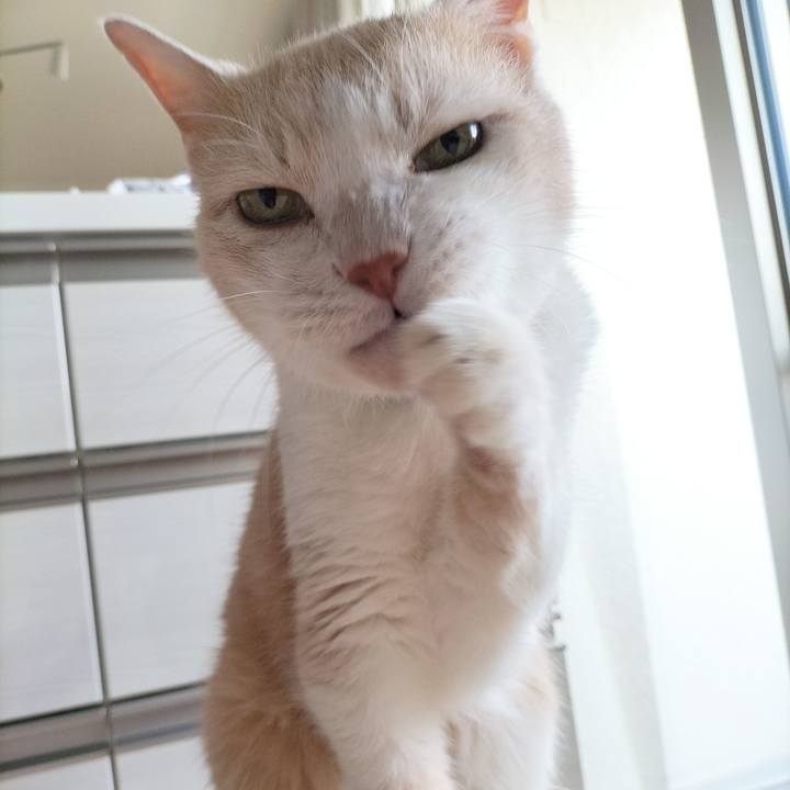 D67ca15c 4cfd 40f6 b94b 160825f2ecc7 1690927059066